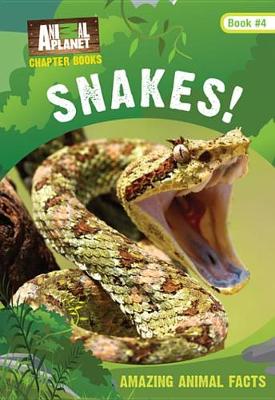Book cover for Snakes! (Animal Planet Chapter Books #3)