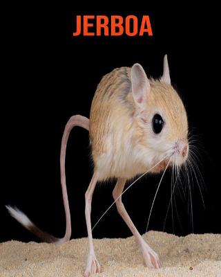 Book cover for Jerboa