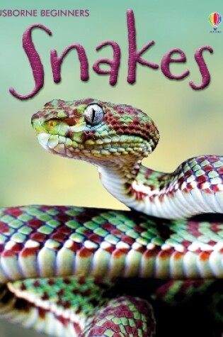 Cover of Snakes