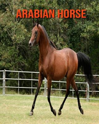 Book cover for Arabian Horse