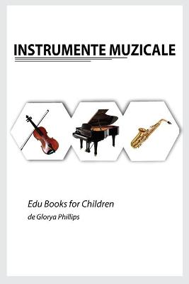 Book cover for Instrumnete Muzicale