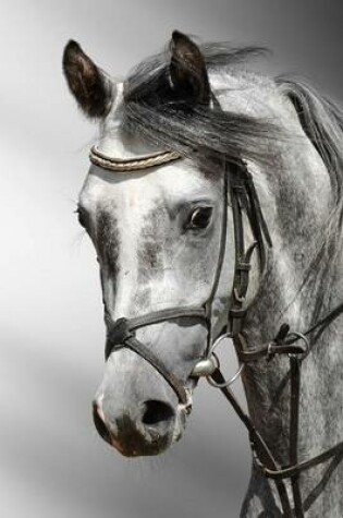 Cover of Beautiful Profile of a Dapple Grey Horse Arab