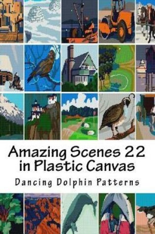 Cover of Amazing Scenes 22