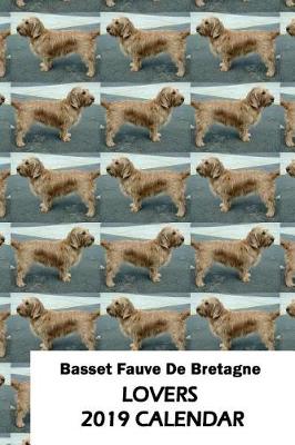 Book cover for Basset Fauve de Bretagne Lovers 2019 Calendar