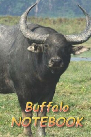 Cover of Buffalo NOTEBOOK
