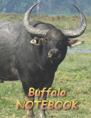 Book cover for Buffalo NOTEBOOK