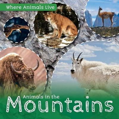 Book cover for Animals in the Mountains