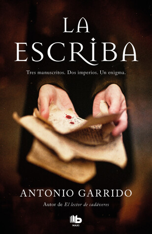 Book cover for La escriba / The Scribe