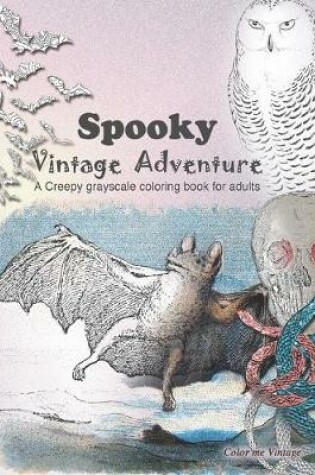 Cover of Spooky Vintage Adventure
