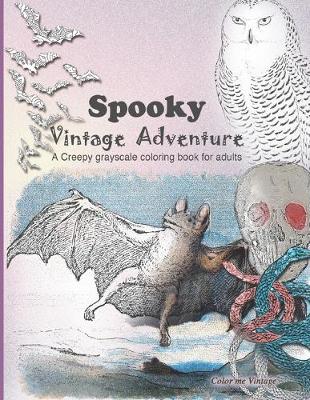 Book cover for Spooky Vintage Adventure