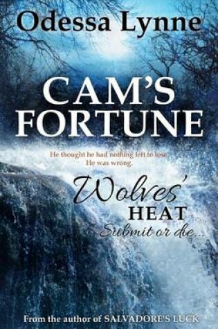 Cover of Cam's Fortune