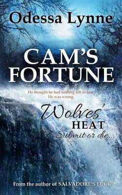 Book cover for Cam's Fortune