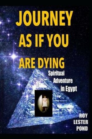 Cover of Journey as If You Are Dying