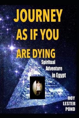 Book cover for Journey as If You Are Dying