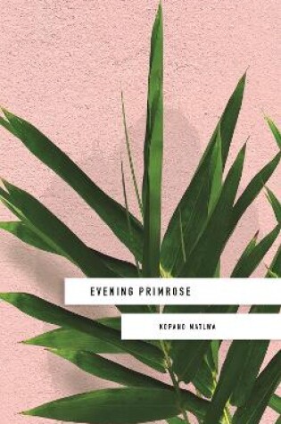 Cover of Evening Primrose: a heart-wrenching novel for our times