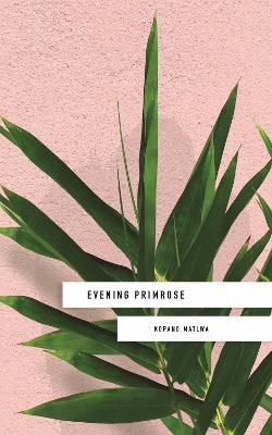 Book cover for Evening Primrose: a heart-wrenching novel for our times