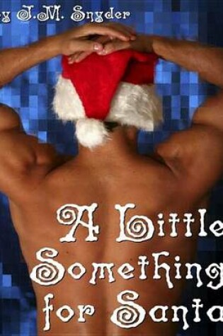 Cover of A Little Something for Santa