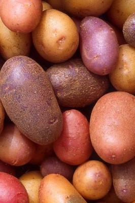 Book cover for Potato Varieties Journal