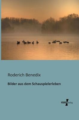 Book cover for Bilder aus dem Schauspielerleben