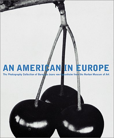 Book cover for American in Europe