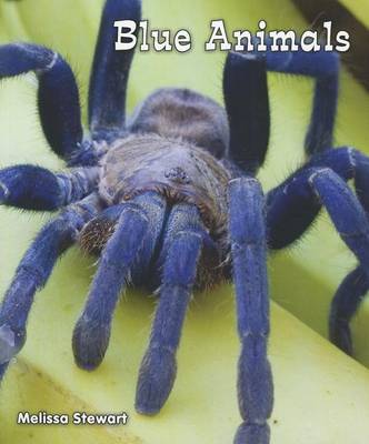 Book cover for Blue Animals