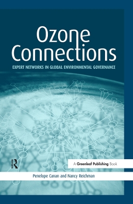 Book cover for Ozone Connections