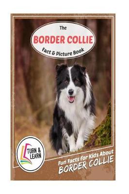 Book cover for The Border Collie Fact and Picture Book