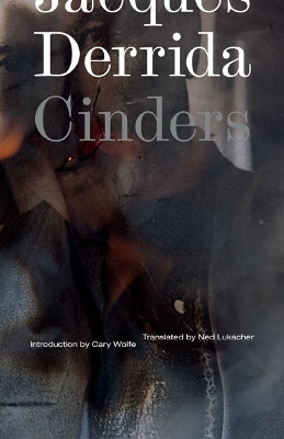 Book cover for Cinders