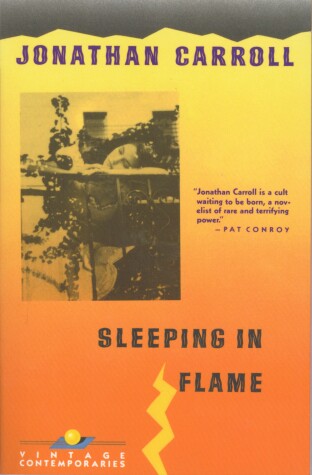 Book cover for Sleeping in Flame