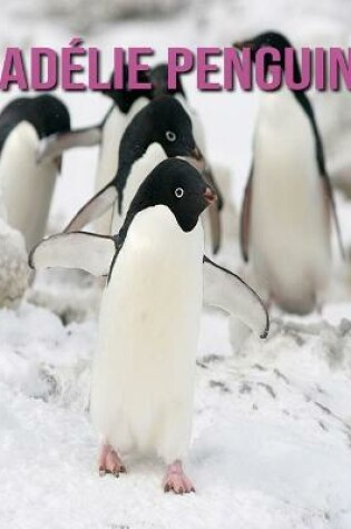 Cover of Adélie Penguin