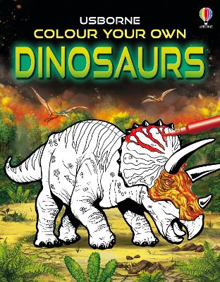 Book cover for Colour Your Own Dinosaurs