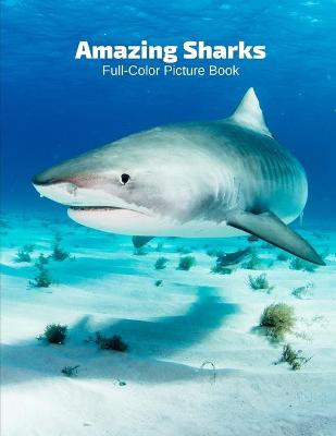Book cover for Amazing Sharks Full-Color Picture Book