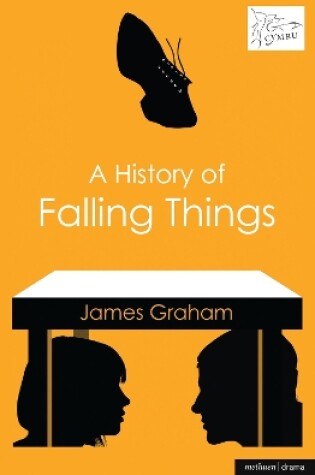 Cover of A History of Falling Things
