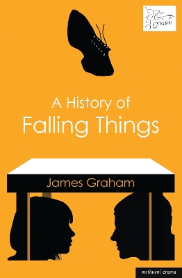 Book cover for A History of Falling Things