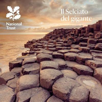 Book cover for Giant’s Causeway - Italian