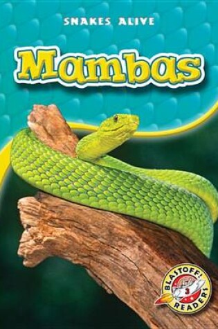 Cover of Mambas