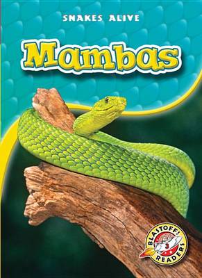 Book cover for Mambas