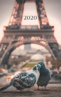 Book cover for Paris Pigeons - 2020 Daily Hourly Planner