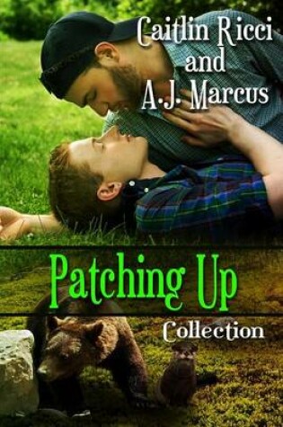 Cover of Patching Up Collection