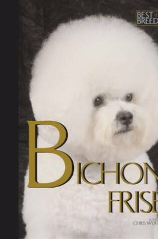 Cover of Bichon Frise