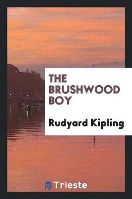 Book cover for The Brushwood Boy