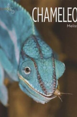 Cover of Chameleons