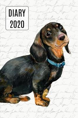 Book cover for 2020 Daily Diary Planner, Watercolor Dachshund