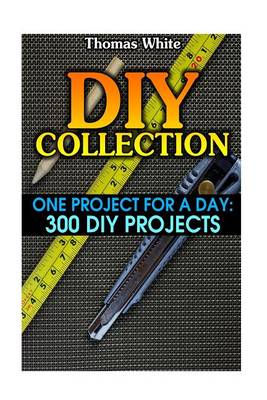 Book cover for DIY Collection