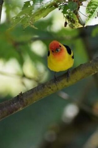 Cover of Western Tanager (Piranga Ludoviciana) Bird Journal