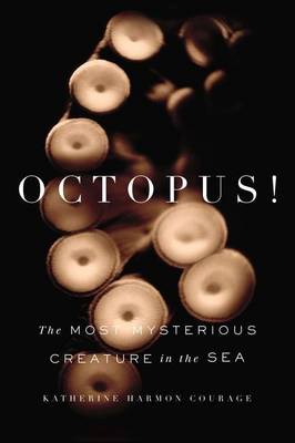 Book cover for Octopus!