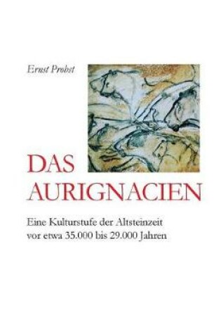 Cover of Das Aurignacien