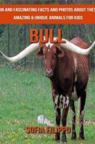 Cover of Bull