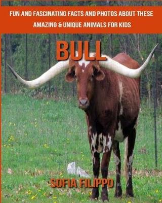 Book cover for Bull