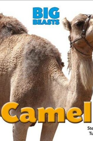 Cover of Camel